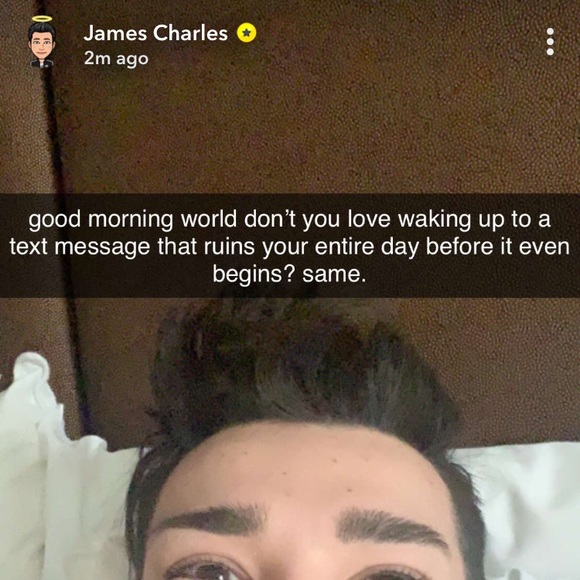 Meet your Posher, Mia - Picture 1 of 1